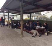 2015 Matariki Our community eating together