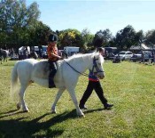Horse Judging Pet Day 2015 2 opt
